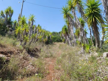 Terreno para Venda em Paderne