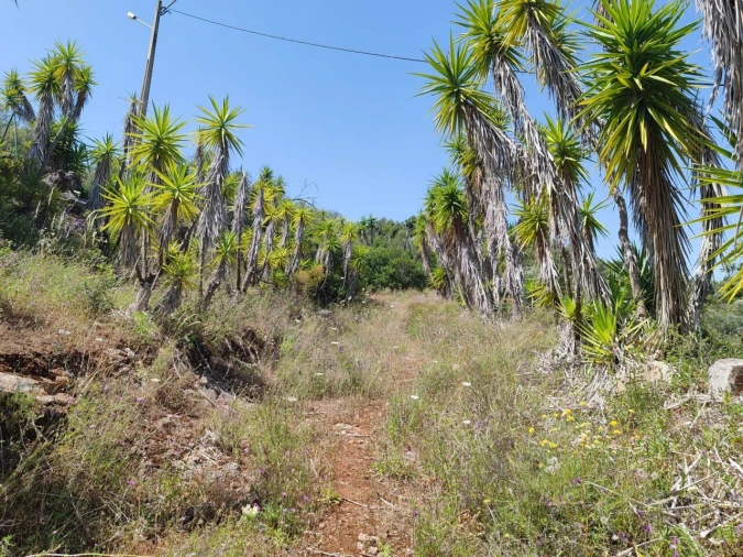 Terreno para Venda em Paderne Foto 10