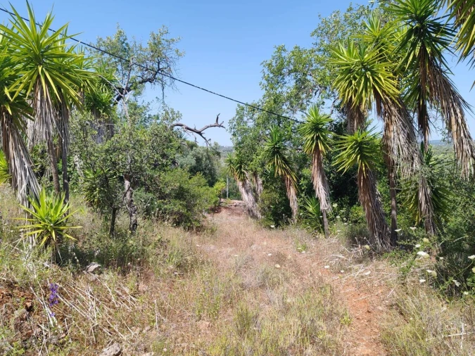 Terreno para Venda em Paderne Foto 9
