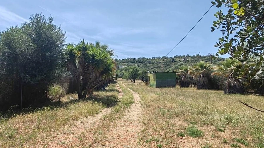 Terreno para Venda em Paderne