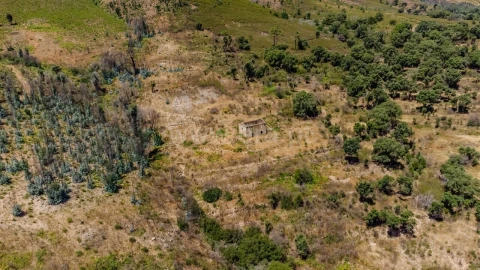 Quinta T0 para Venda em Telhado