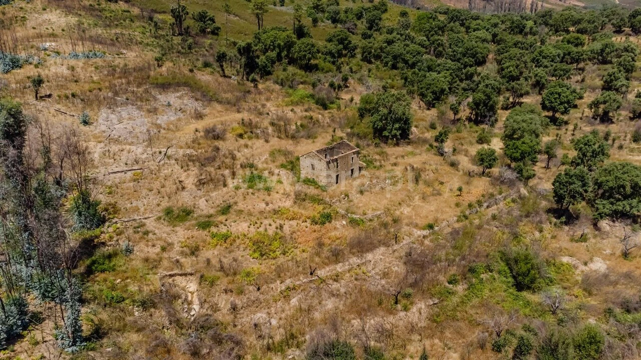 Quinta T0 para Venda em Telhado Foto 2