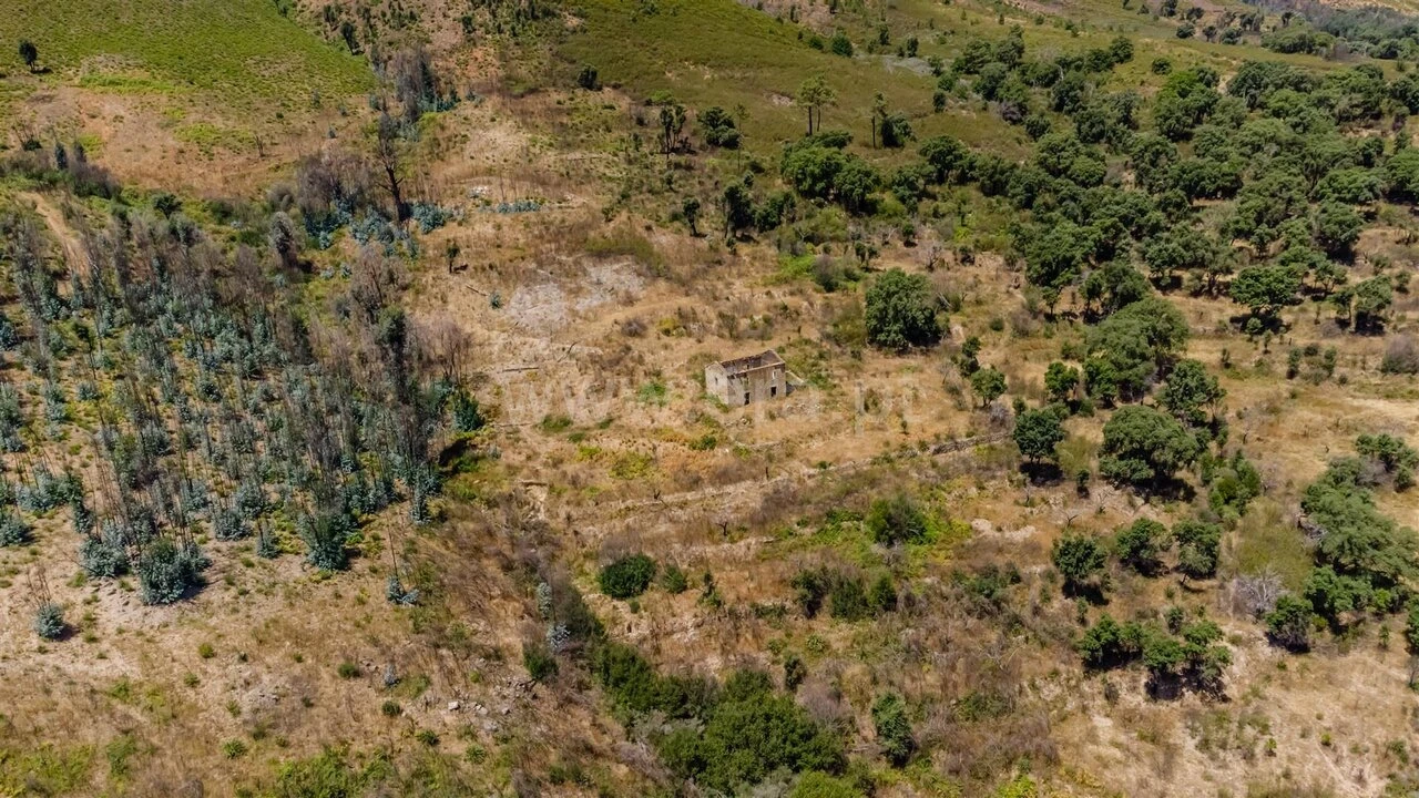 Quinta T0 para Venda em Telhado Foto 6
