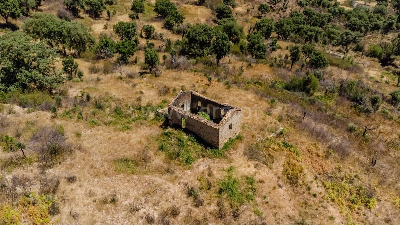Quinta T0 para Venda em Telhado Foto 3