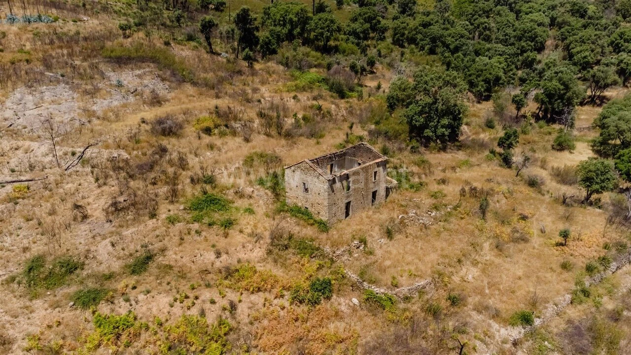 Quinta T0 para Venda em Telhado Foto 1