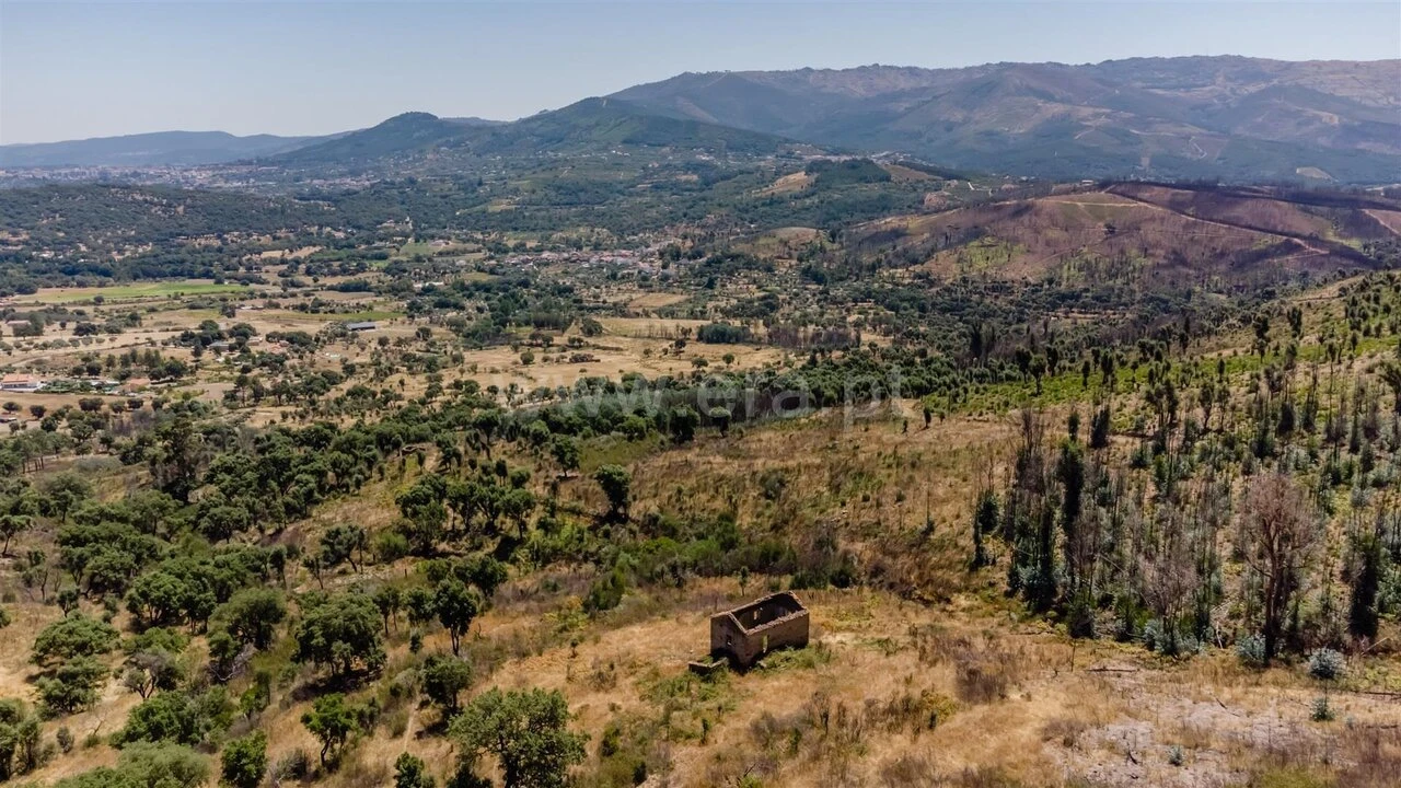 Quinta T0 para Venda em Telhado Foto 8