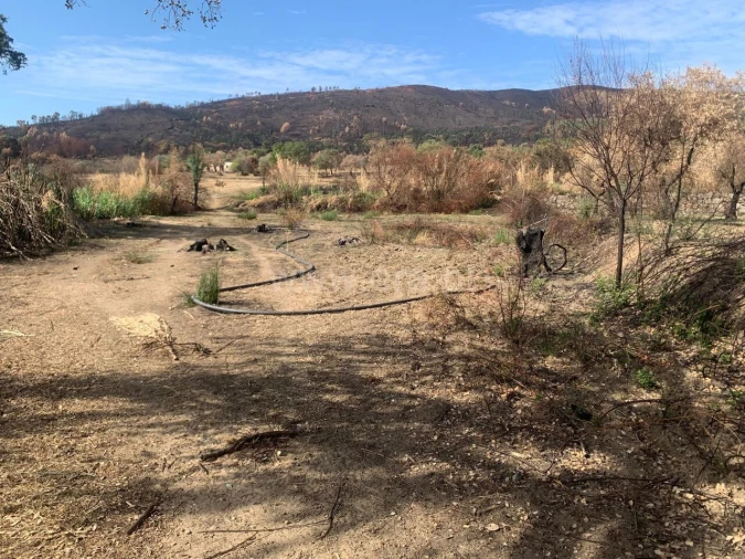 Terreno para Venda em Telhado Foto 3