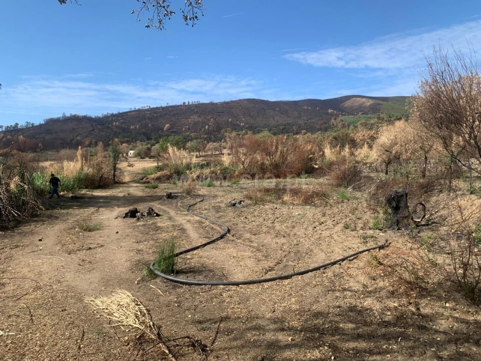 Terreno para Venda em Telhado Foto 4