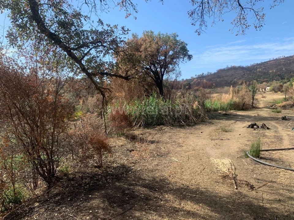 Terreno para Venda em Telhado Foto 2