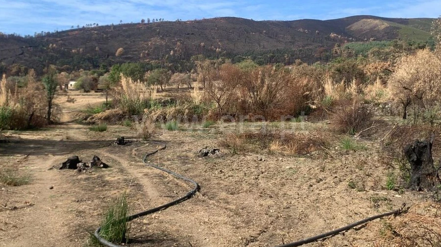 Terreno para Venda em Telhado