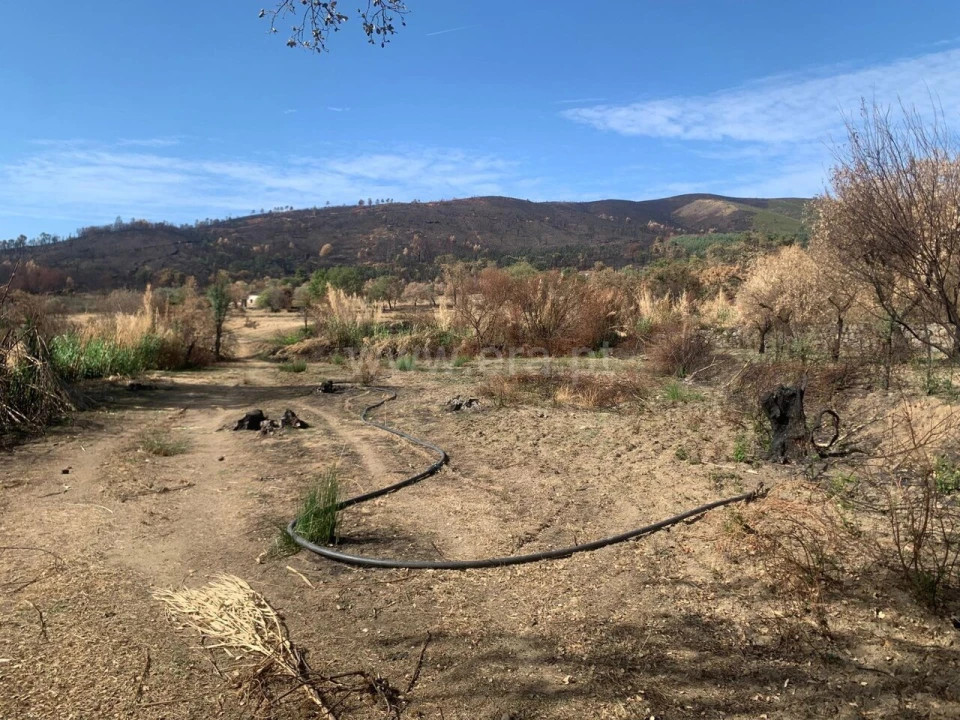 Terreno para Venda em Telhado Foto 1