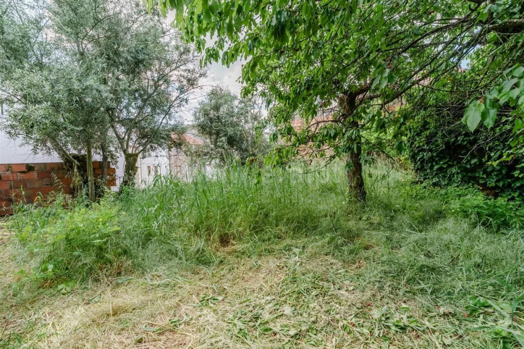 Moradia T4 para Venda em Casegas e Ourondo Foto 16
