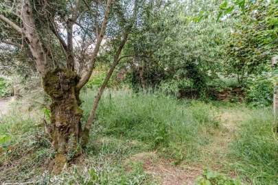Moradia T4 para Venda em Casegas e Ourondo