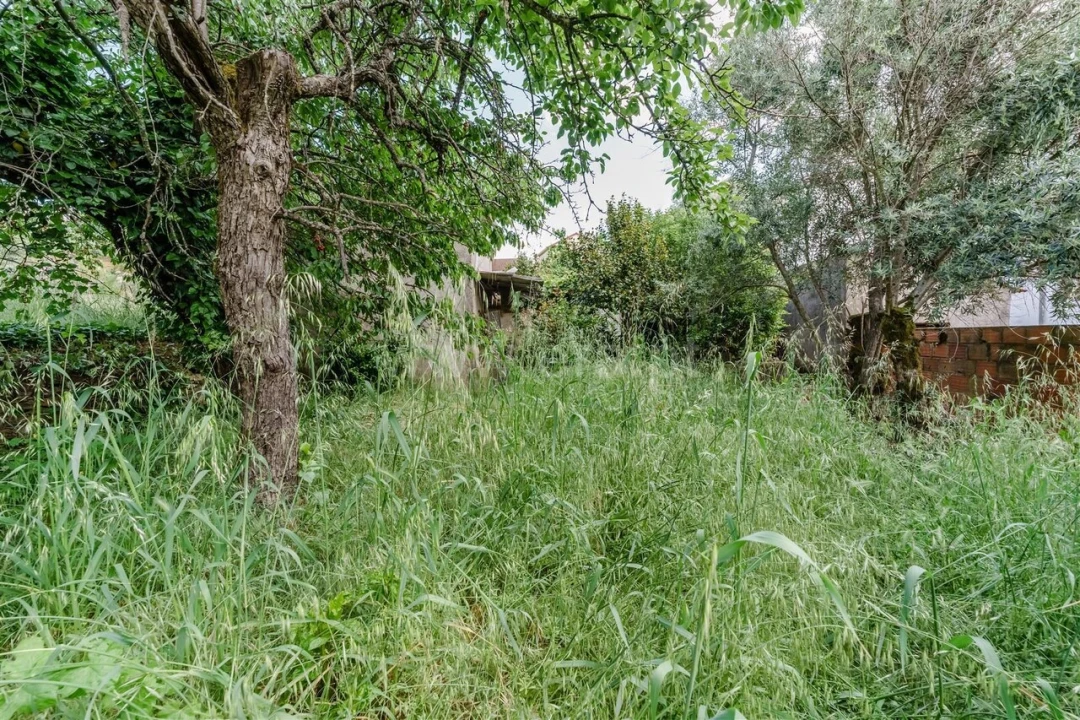 Moradia T4 para Venda em Casegas e Ourondo Foto 18