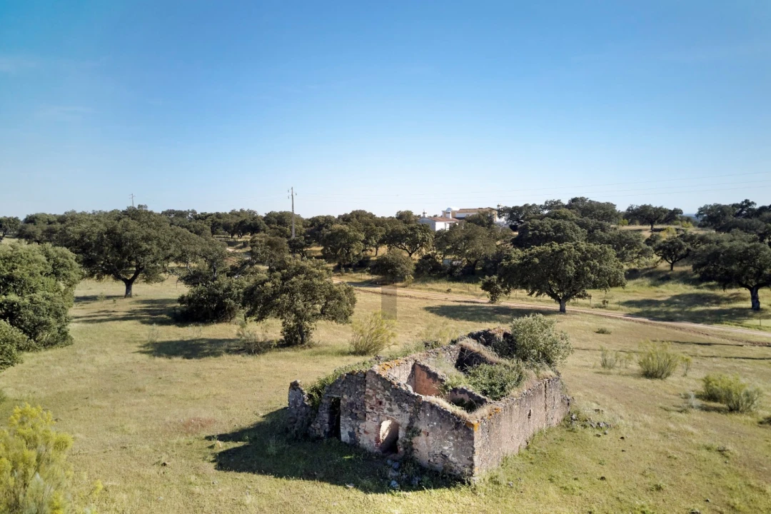 Quinta T8 para Venda em Monforte Foto 8