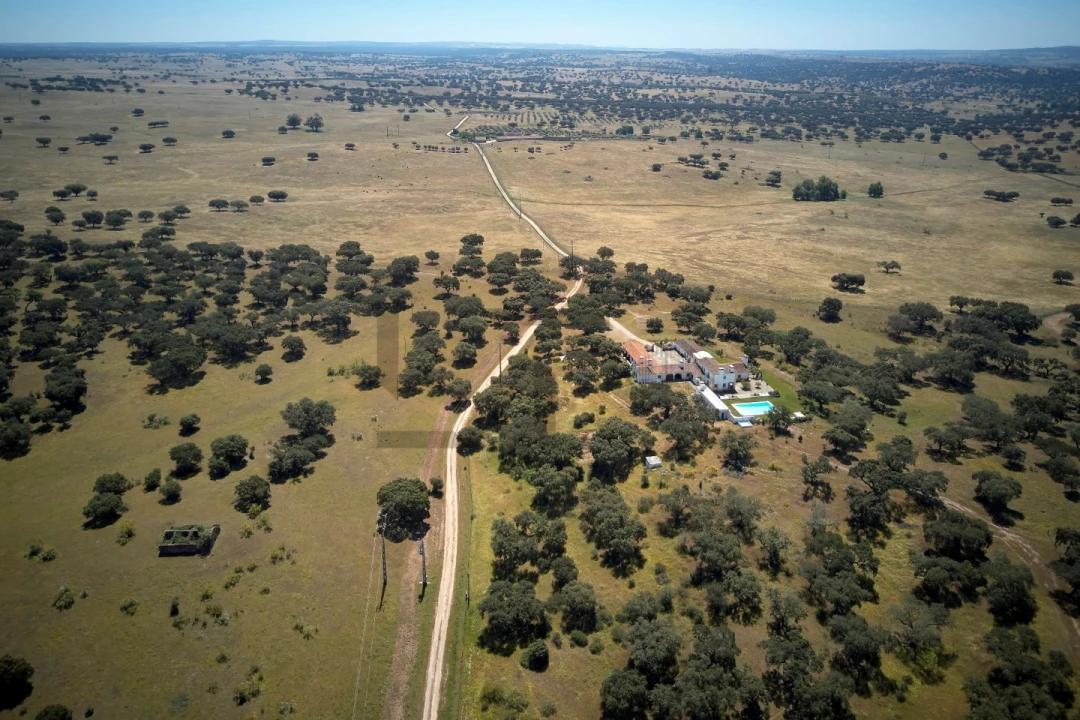 Quinta T8 para Venda em Monforte Foto 21
