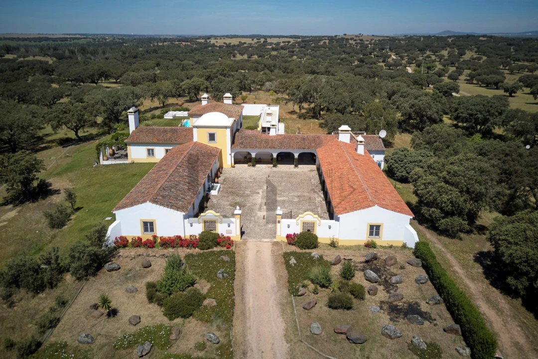 Quinta T8 para Venda em Monforte Foto 23