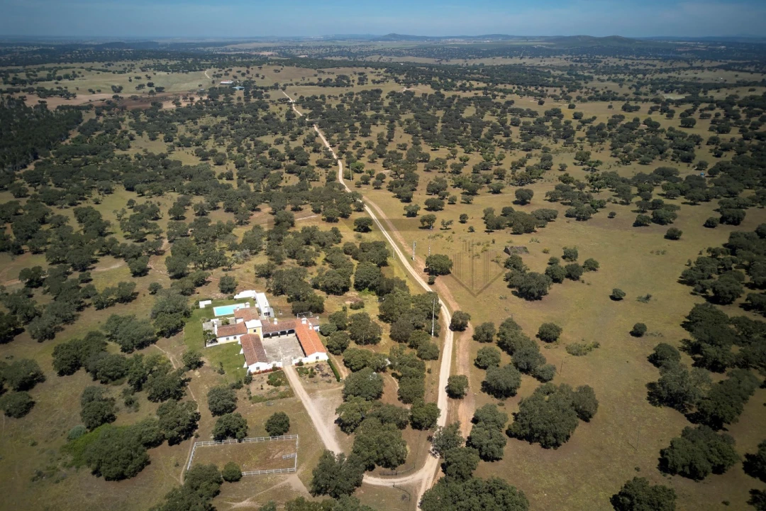 Quinta T8 para Venda em Monforte Foto 25