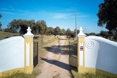 Quinta T8 para Venda em Monforte