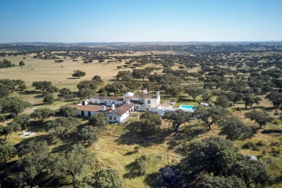 Quinta T8 para Venda em Monforte