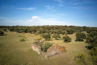 Quinta T8 para Venda em Monforte