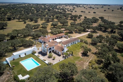 Quinta T8 para Venda em Monforte