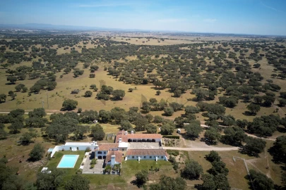 Quinta T8 para Venda em Monforte
