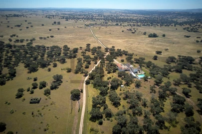 Quinta T8 para Venda em Monforte