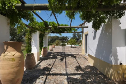 Quinta T8 para Venda em Monforte