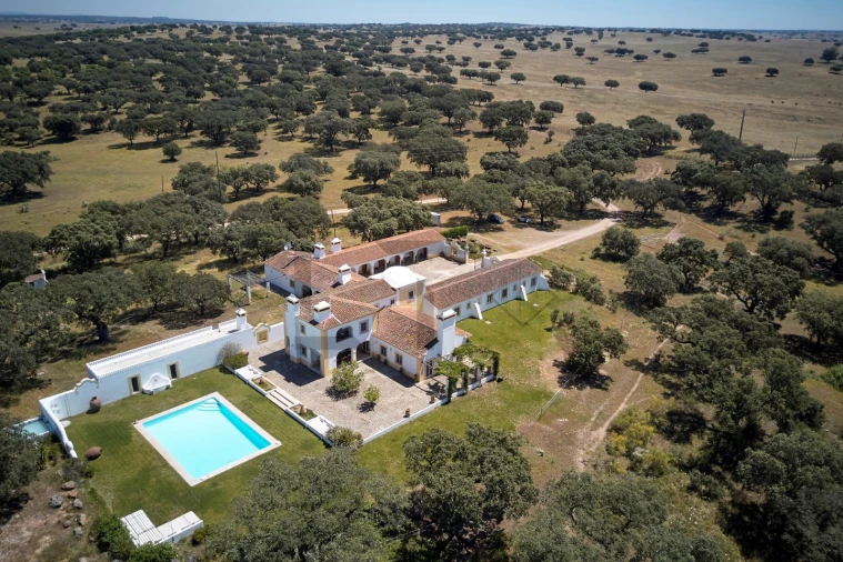 Quinta T8 para Venda em Monforte Foto 18