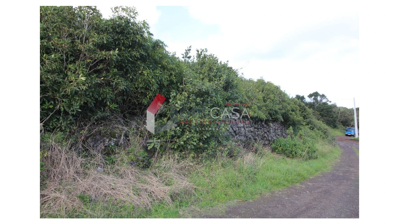 Terreno para Venda em Porto Martins Foto 2