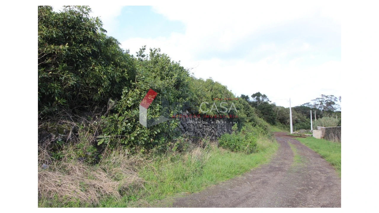 Terreno para Venda em Porto Martins Foto 1