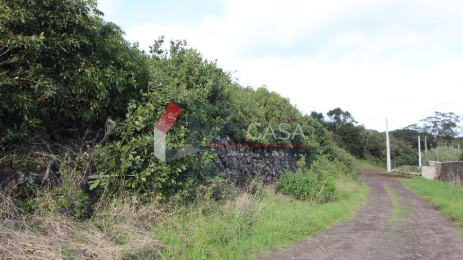 Terreno para Venda em Porto Martins