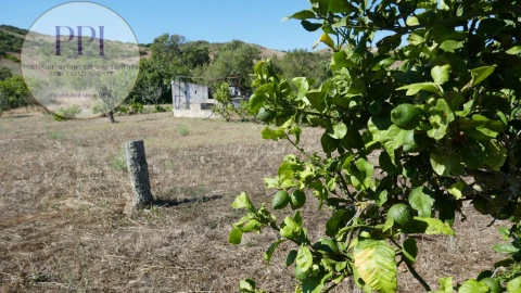 Moradia T2 para Venda em Budens