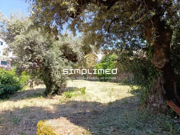 Quinta para Venda em Famalicão