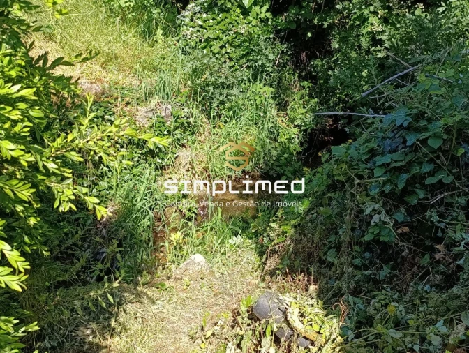 Quinta para Venda em Famalicão Foto 19