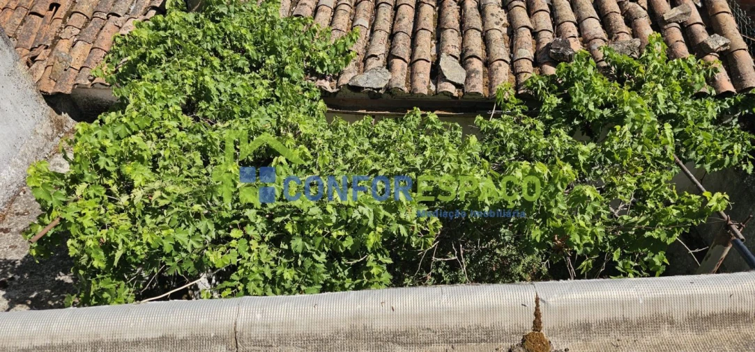 Moradia T4 para Venda em Monforte da Beira Foto 16