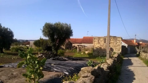 Terreno para Venda em Lijo