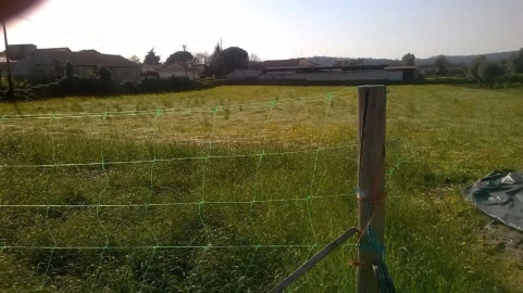 Terreno para Venda em Lijo