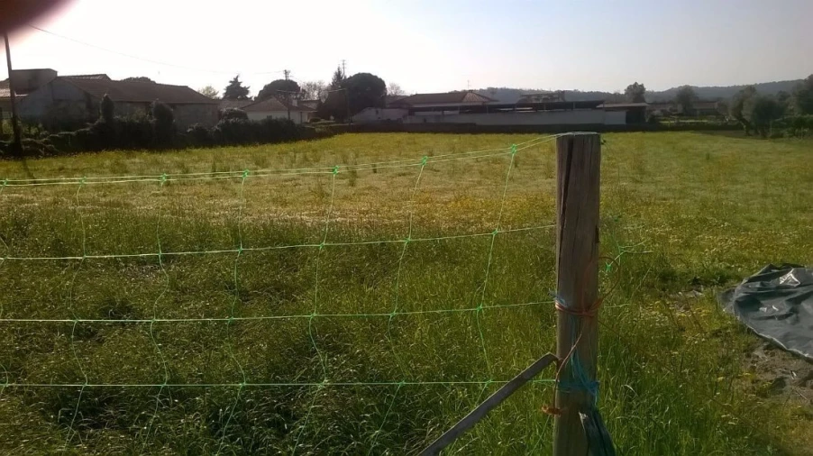 Terreno para Venda em Lijo Foto 7