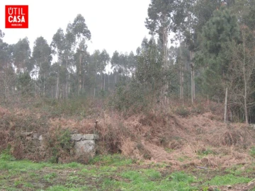 Terreno para Venda em Fragoso