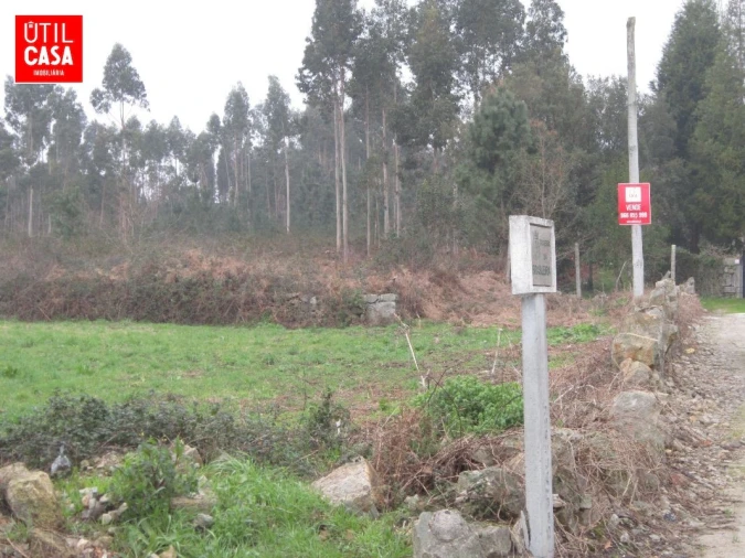 Terreno para Venda em Fragoso Foto 2