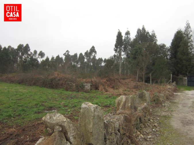 Terreno para Venda em Fragoso Foto 3