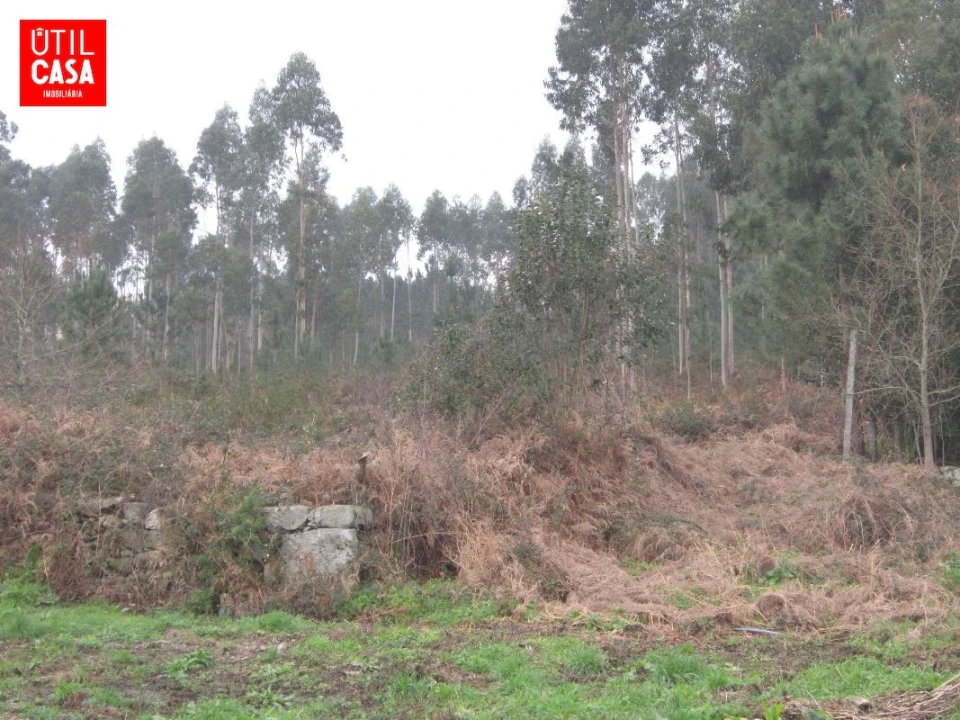 Terreno para Venda em Fragoso Foto 4