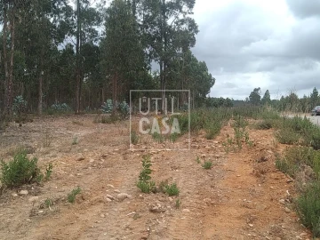 Terreno para Venda em Ortiga