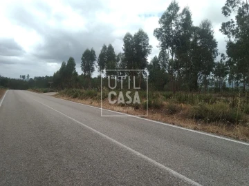 Terreno para Venda em Ortiga