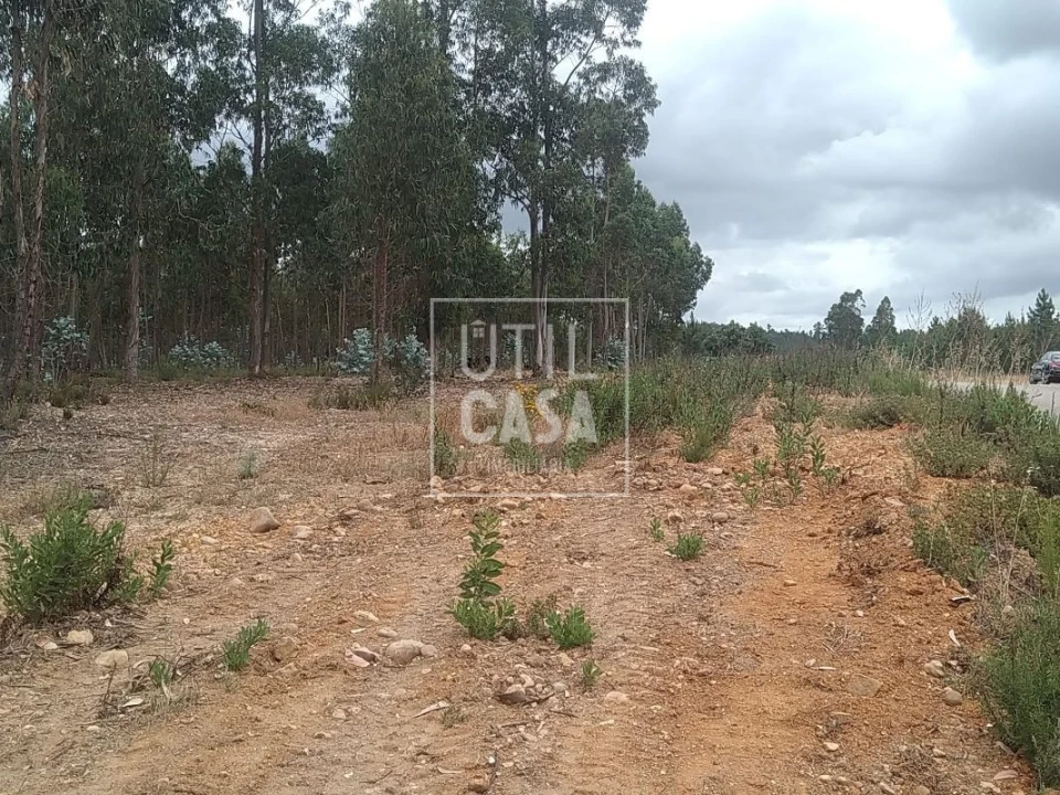 Terreno para Venda em Ortiga Foto 1