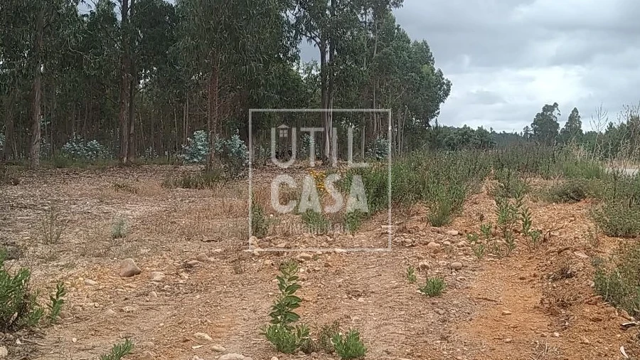 Terreno para Venda em Ortiga
