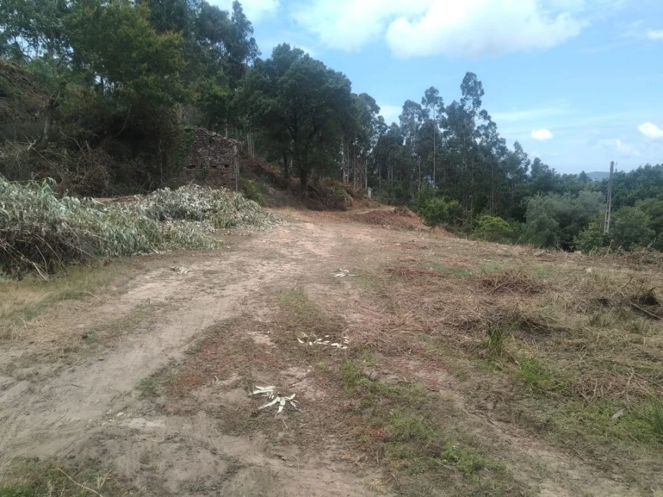 Terreno para Venda em Gandra e Taião Foto 20
