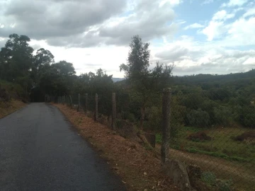 Terreno para Venda em Gandra e Taião